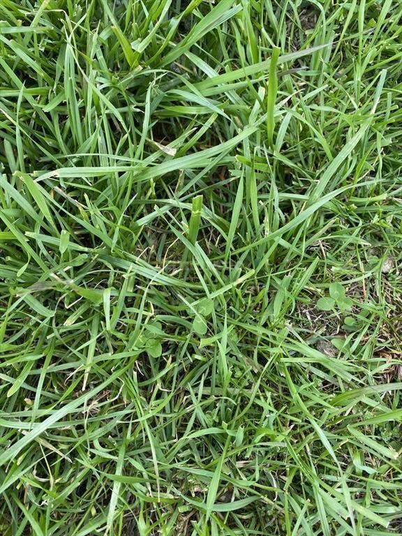 Campo Ganadero I Maldonado I 313 has