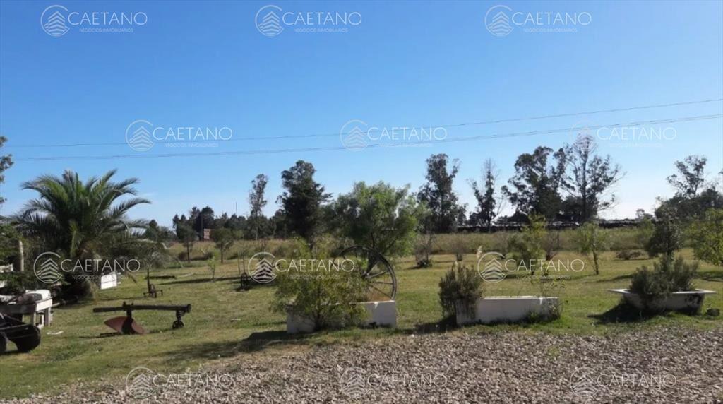 -Chacra de 3 hectáreas en San Carlos.