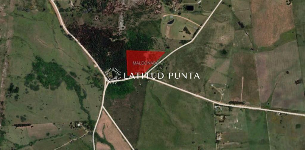 Chacra de casi 5 hectáreas a minutos de Punta