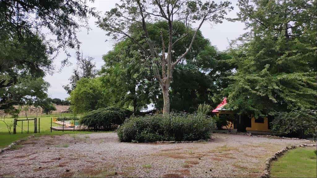 Oportunidad única: chacra de 6 ha con piscina y 6 dormitori