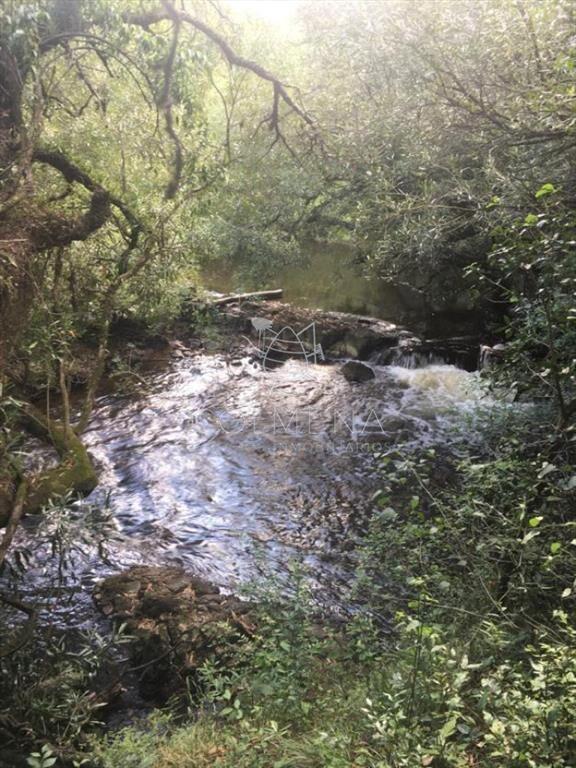 Chacra en las cañas con casa y costa de arroyo.