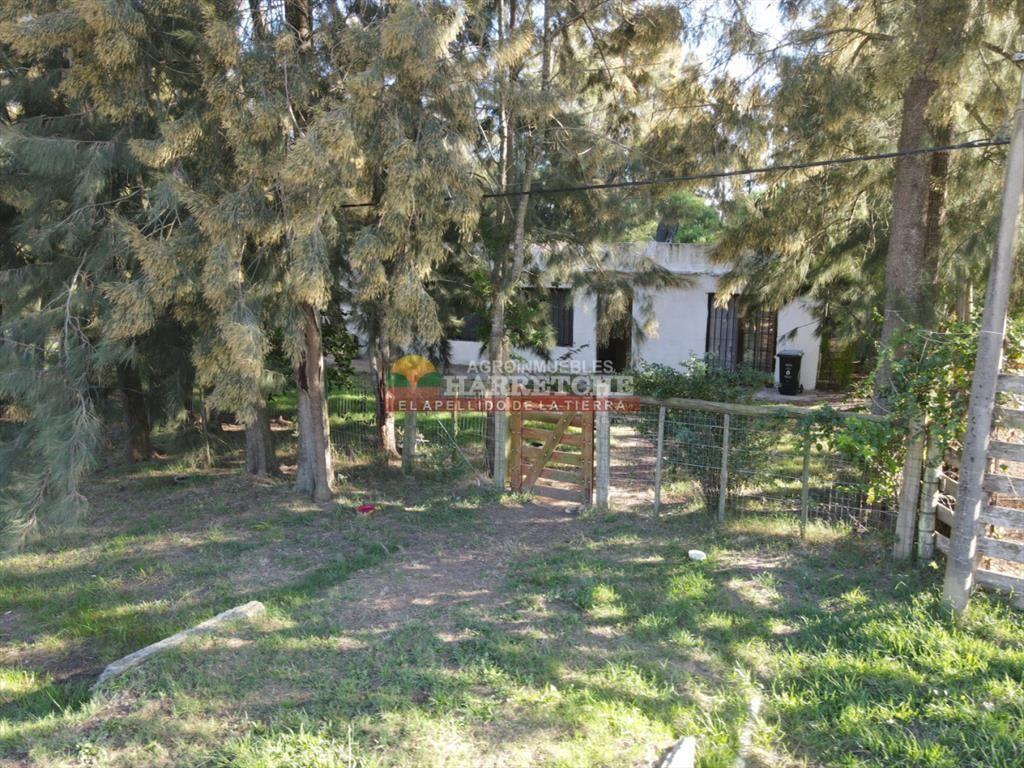 Casa en venta en Las Brujas, 1200 m2 de terreno,