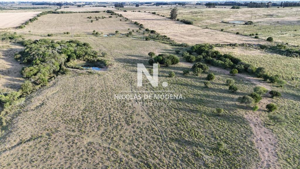 OPORTUNIDAD VENTA DE CHACRA 18 HAS 795 M2 ZONA DE