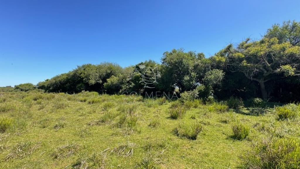 Se venden 2 chacras juntas o separadas en Paso de