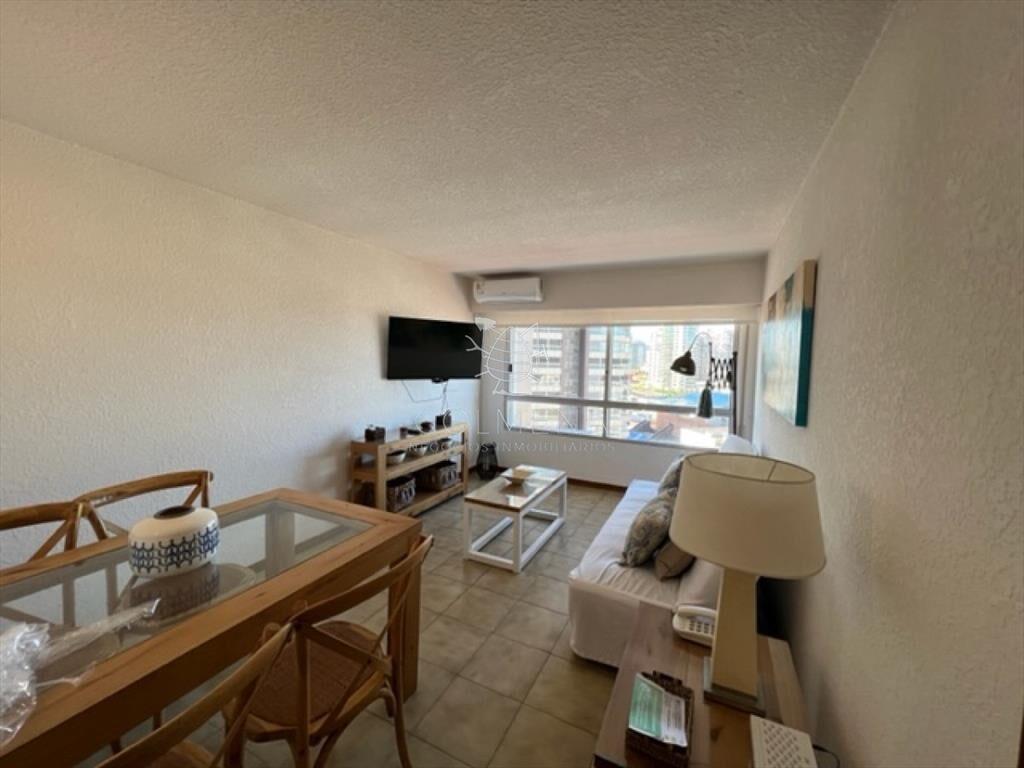 Hermoso apartamento 1 dormitorio con VISTA!