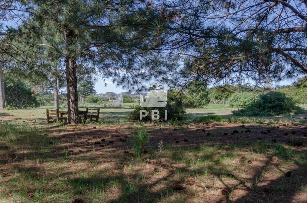 Venta de Terreno en Piedras del Chileno, Punta -