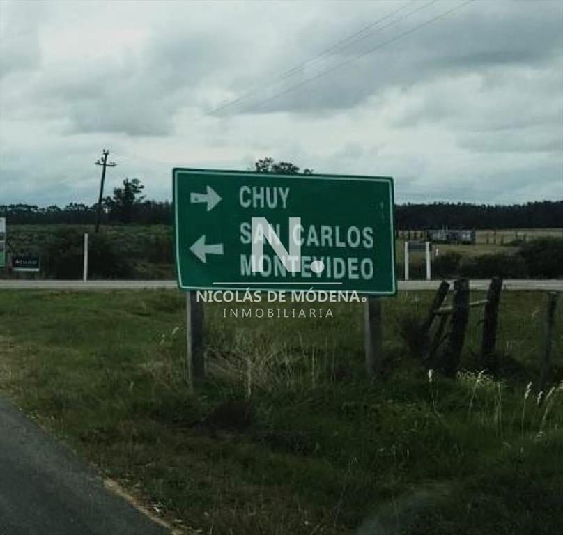Campo a pocos metros de Ruta Nacional número 9