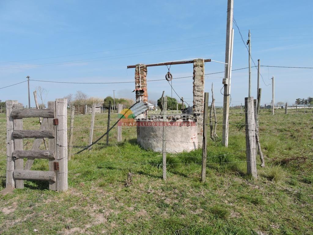 Chacra en venta Los Cerrillos, 1 has con casa de