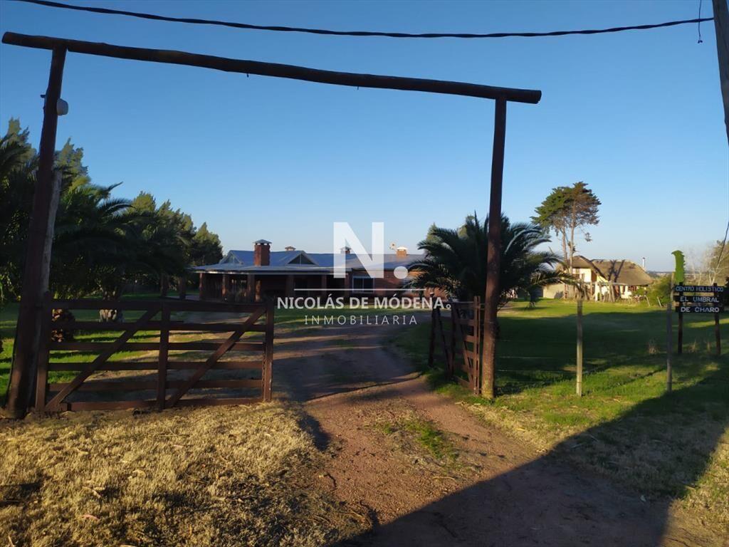 Vende Campo de 11 hectareas en Los Ceibos