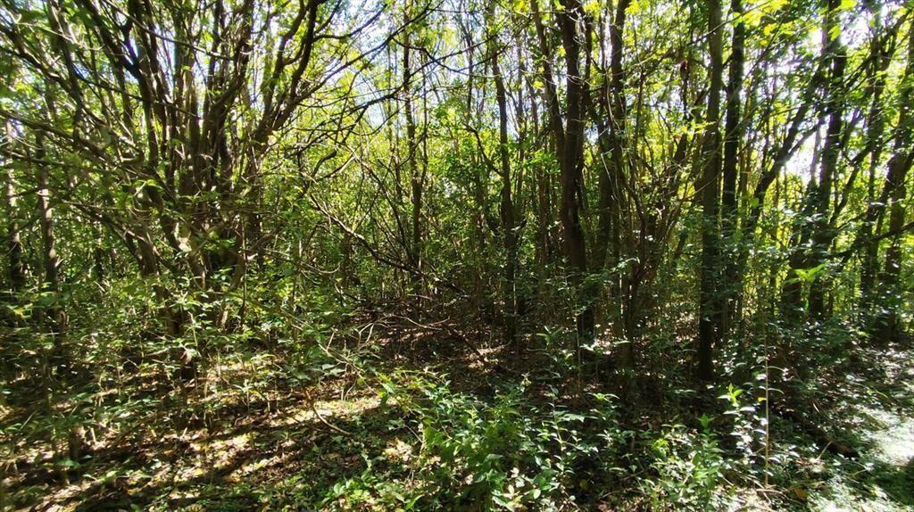 Lote de terrenos en Venta - Radial Rosario