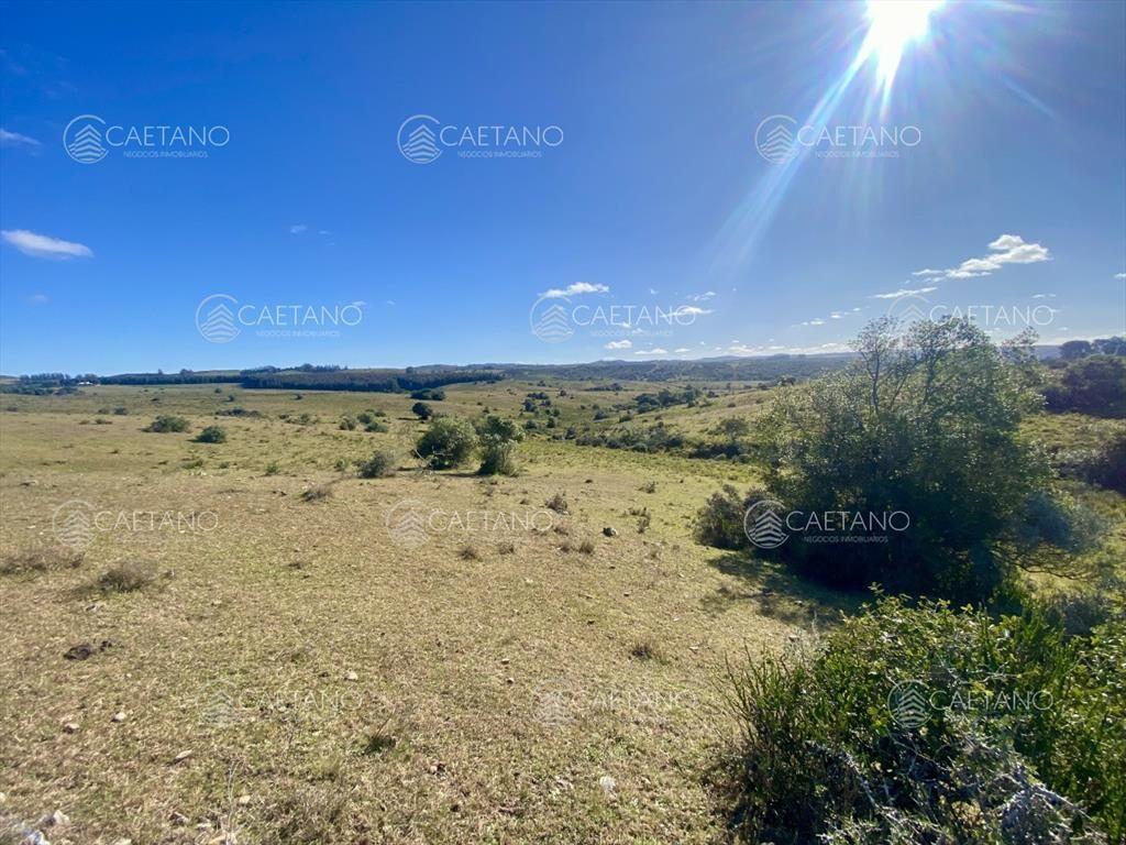 Venta chacra 5 hectáreas. Camino del Olivo,