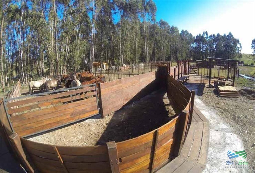Espectacular Campo con todas las comodidades y a