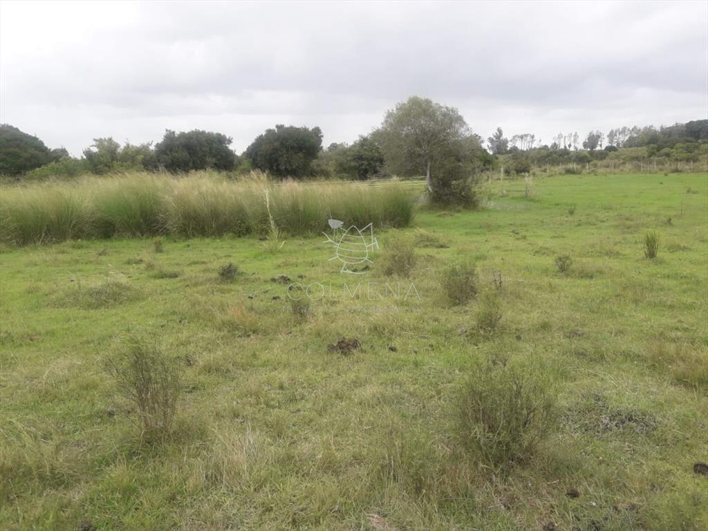 Campo de 5 has con 5891 m2