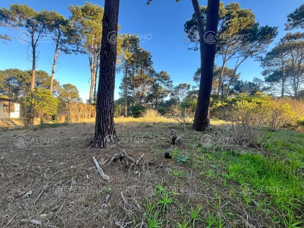 Terreno en venta en Club del Lago, Punta Ballena