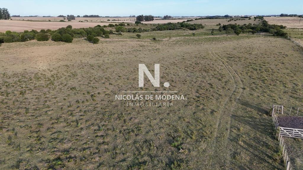 OPORTUNIDAD VENTA DE CHACRA 18 HAS 795 M2 ZONA DE