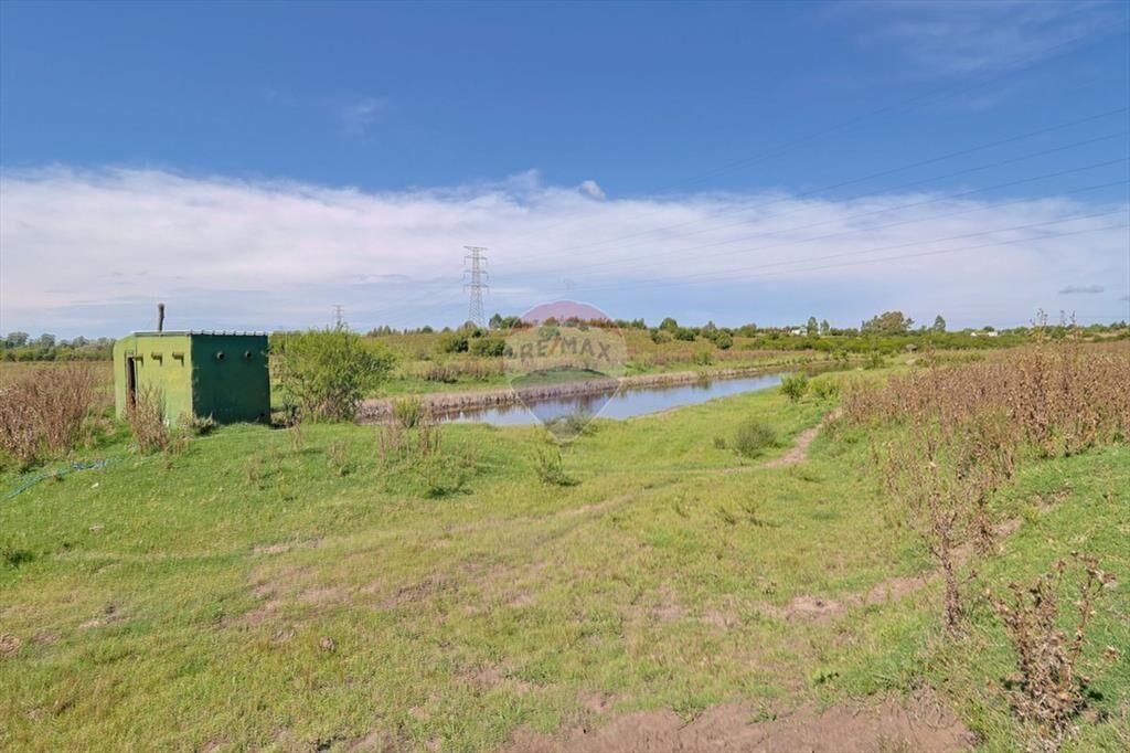 VENTA DE CAMPOS CHACRA, EN LAS BRUJAS, CERRILLOS
