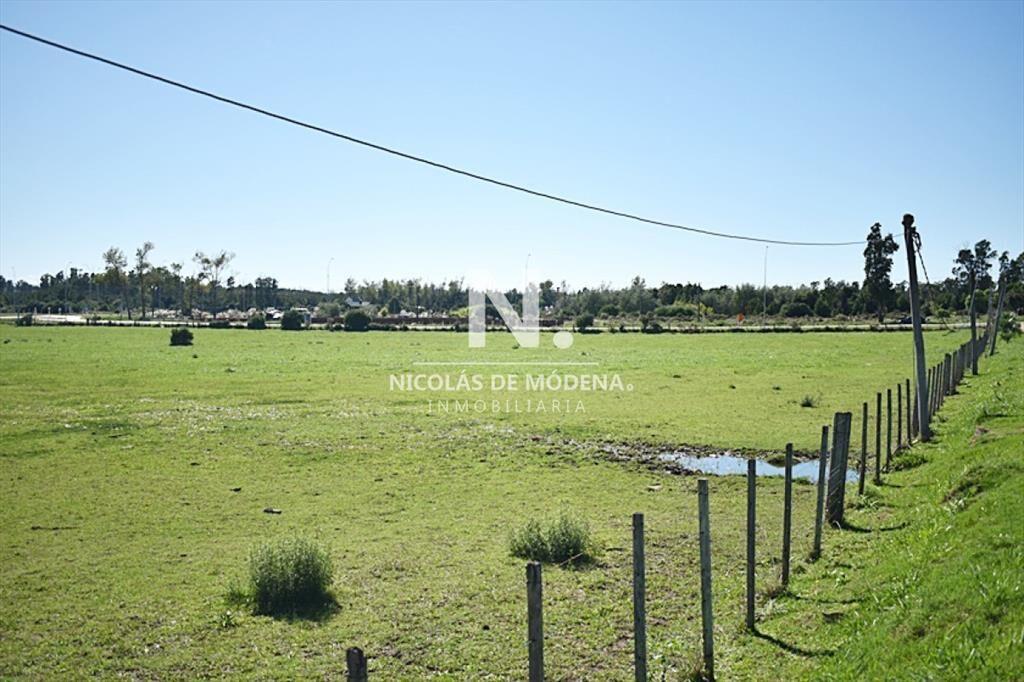 CHACRA SAN CARLOS RUTA 9