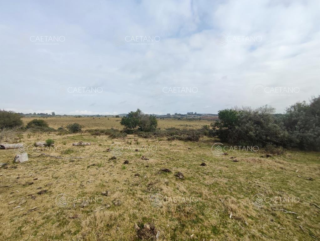Venta chacra con costa arroyo. Ruta 12 Maldonado