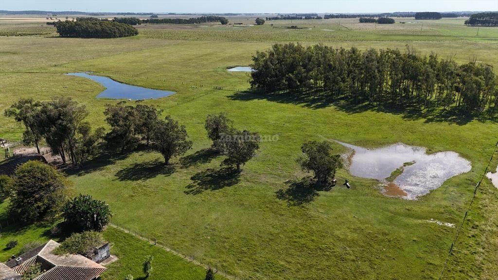Estancia Arrocera I Rocha I Ha: 1650 IC:56.