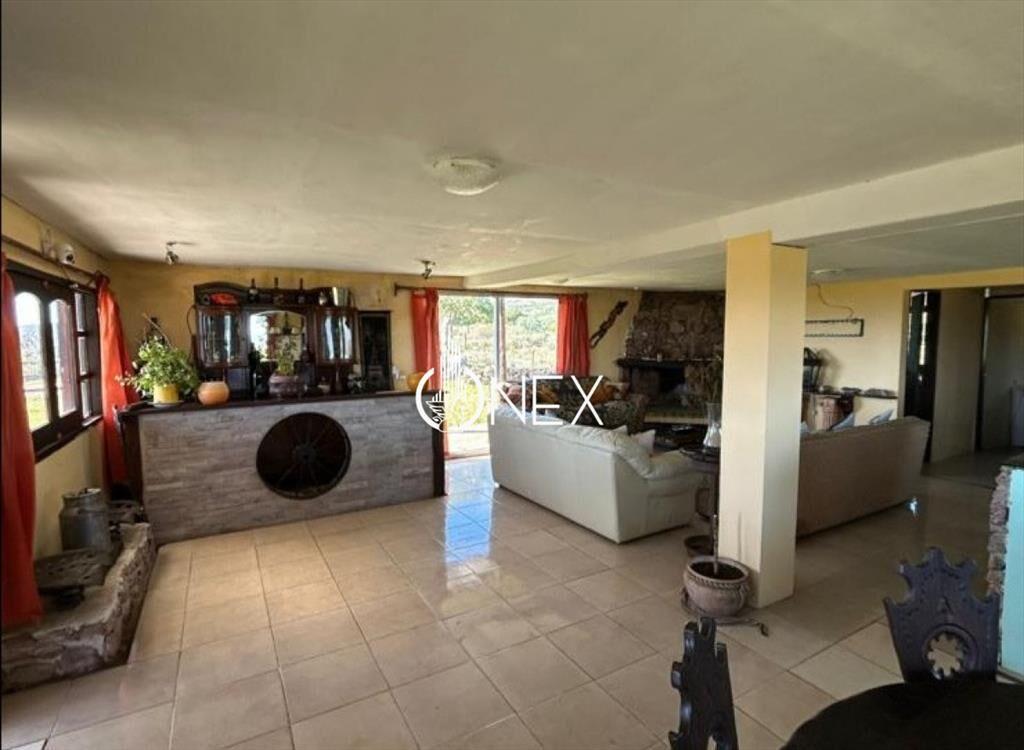 Venta chacra de 5 hectáreas con casa de 2 en Las