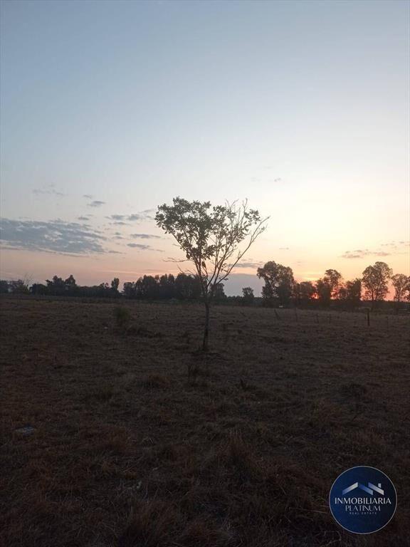 Campo en venta de 9503m2 ubicado en Santa Monica