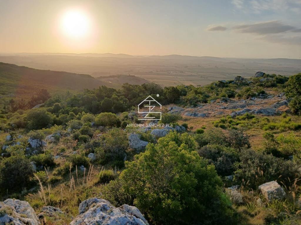 Chacras 5 hectáreas en venta Maldonado