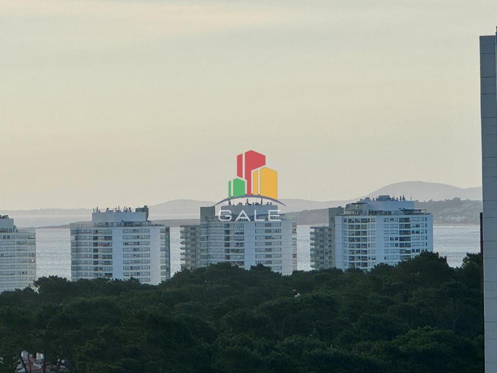 Amplio monoambiente, con garaje y cochera en del