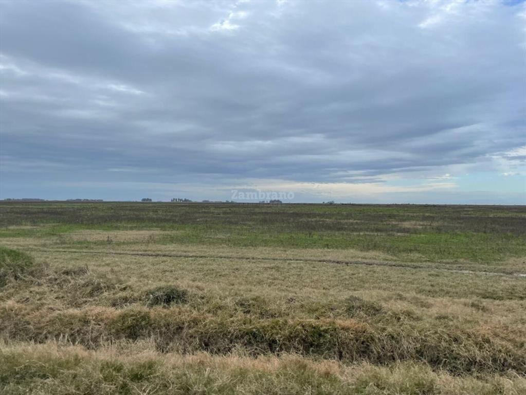 Estancia Ganadera Agrícola en Lavalleja