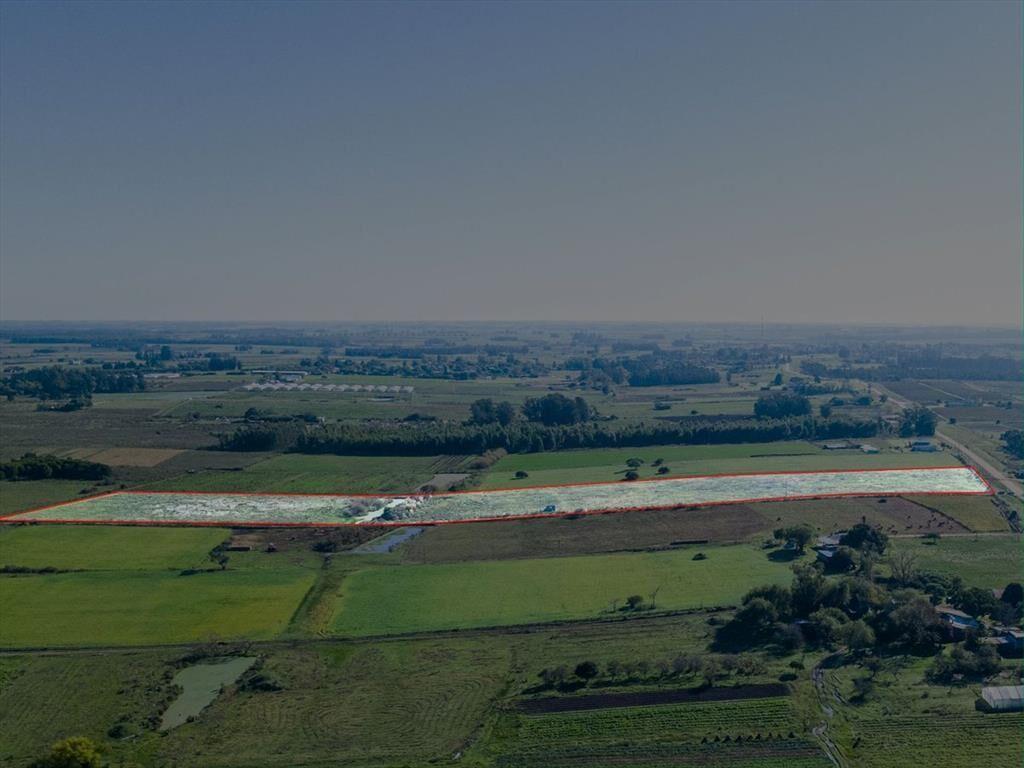 VENTA DE CAMPO 4 HECTAREAS CON TAJAMAR RUTA 75