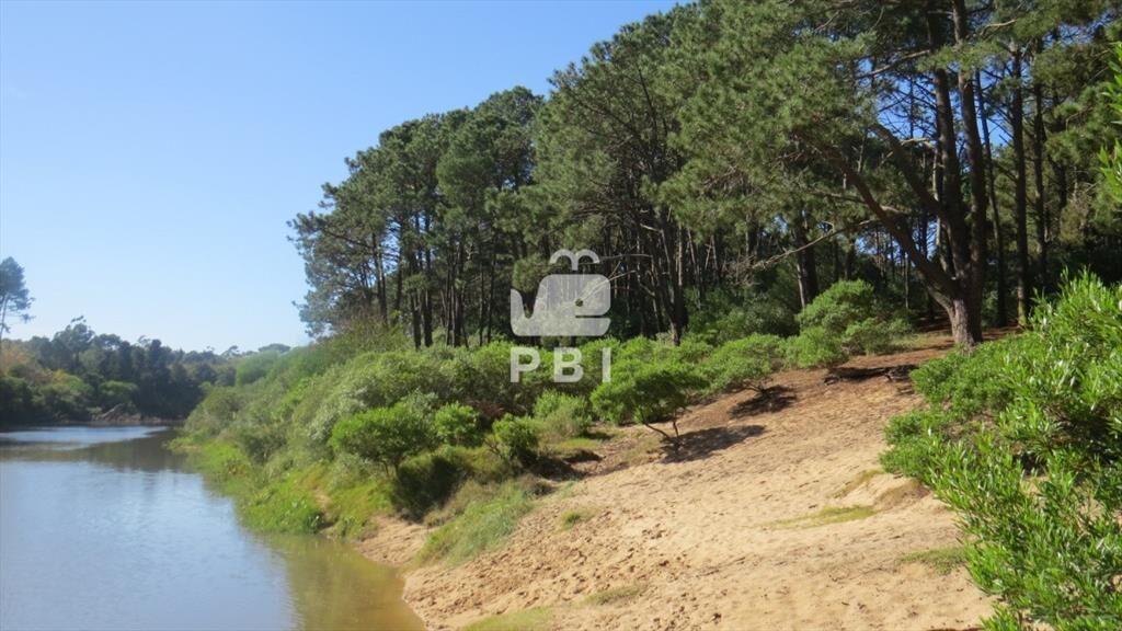 Terreno en Chihuahua, Punta Ballena - Ref : PBI3045