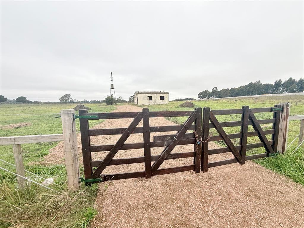 Venta Chacra Camino Gori 36400 metros