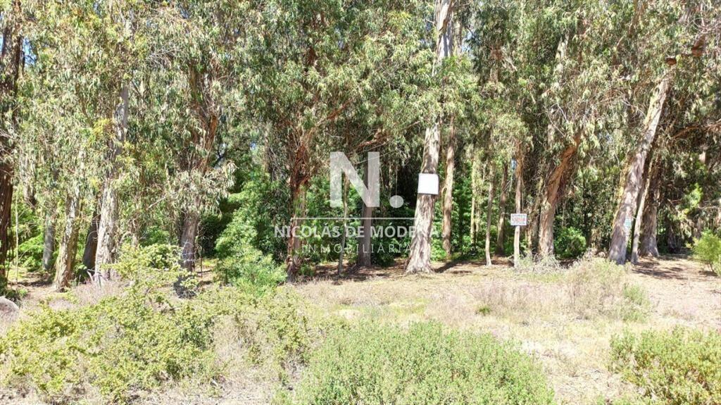 Terreno en Parque Burnett - Maldonado. Ref. 4285