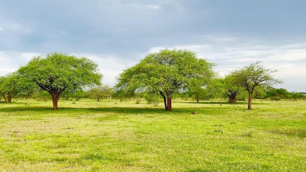 CAMPO 180 HAS. AGRICOLA GANADERO PAYSANDU