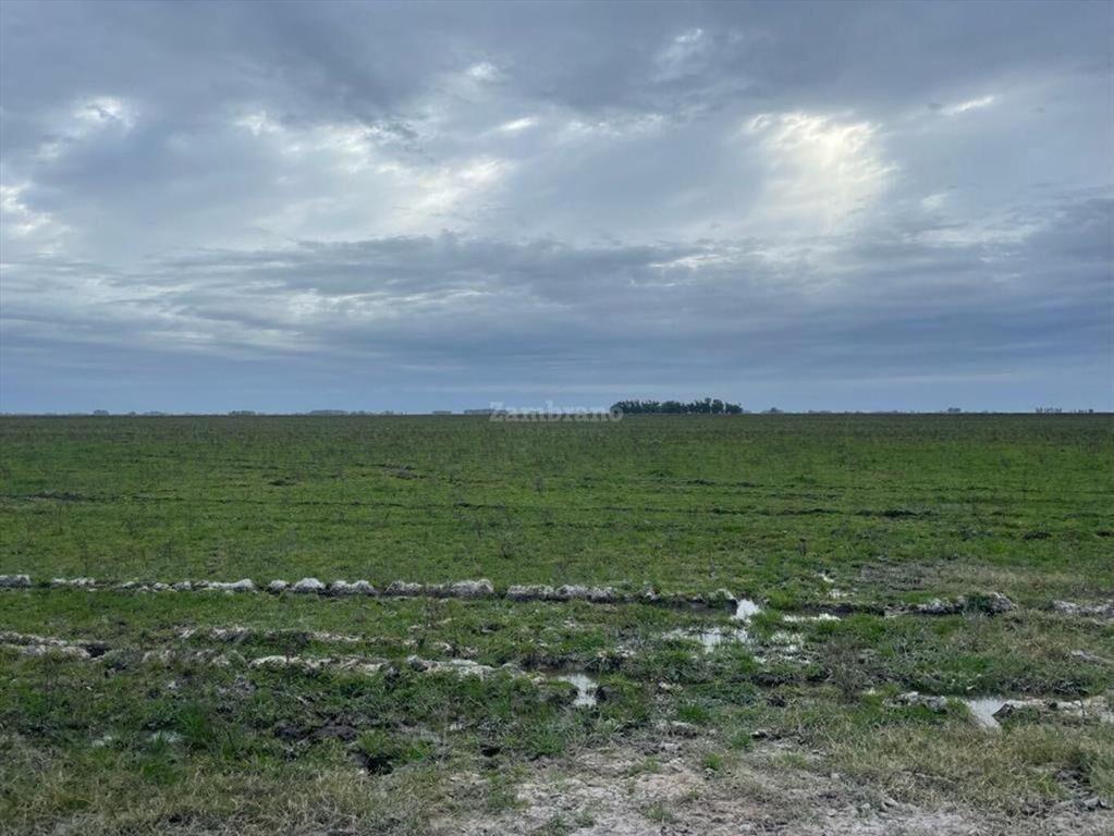 Estancia Ganadera Agrícola en Lavalleja