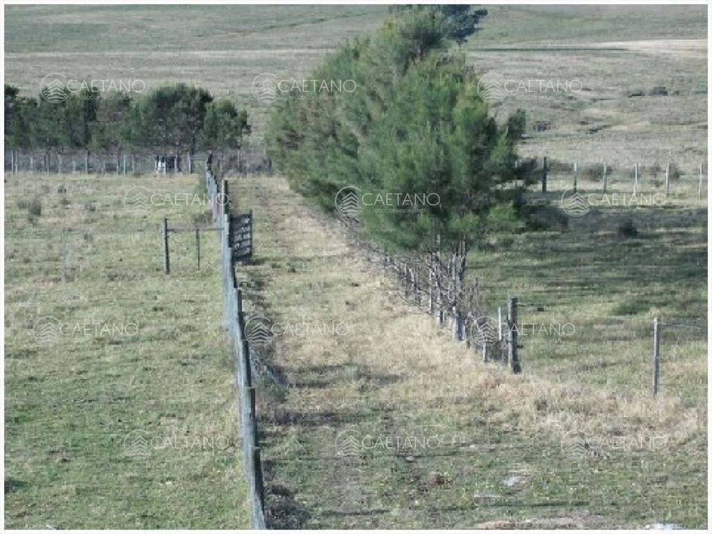 Vendo chacra 5 hectareas, a metros de ruta 12, y