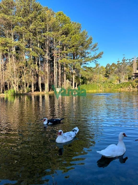 Venta Apartamento Haras del Lago 1 dormitorio,