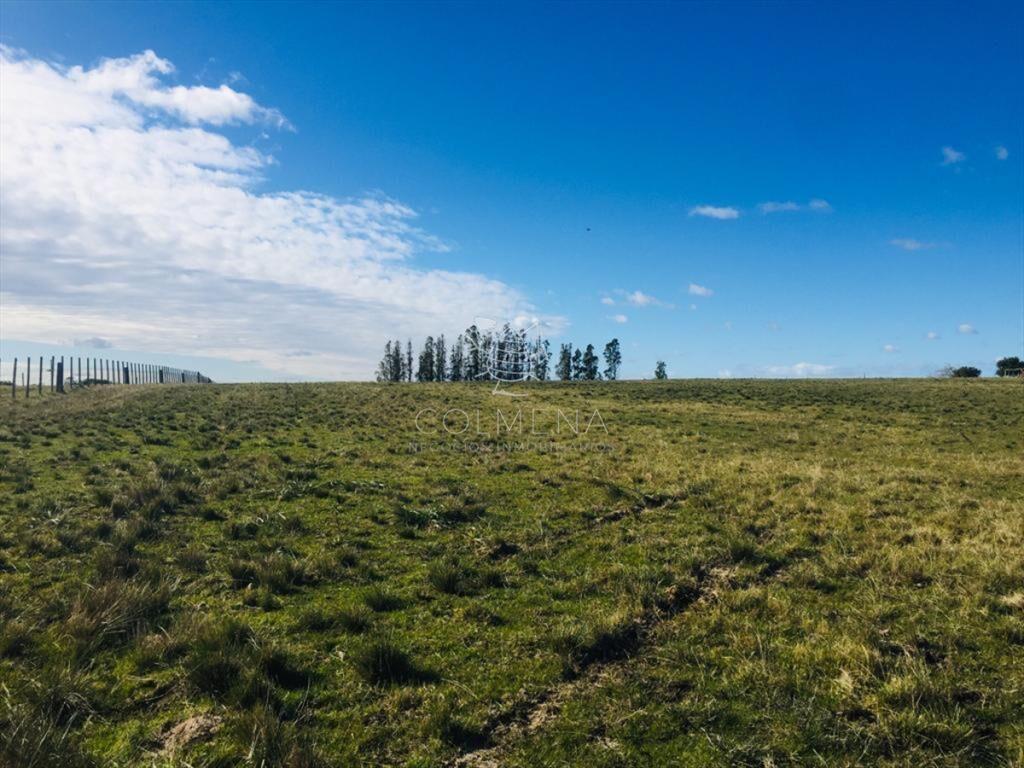 Muy linda parcela de campo sobre ruta a pocos Km