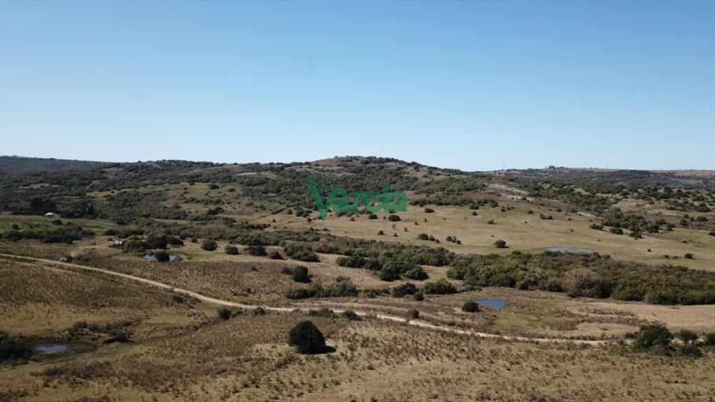 Campo de 86 has a la altura del km 58 Ruta 39