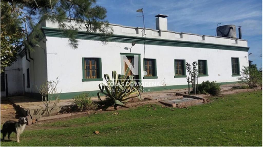 En venta campo tipo criador en Montevideo - y