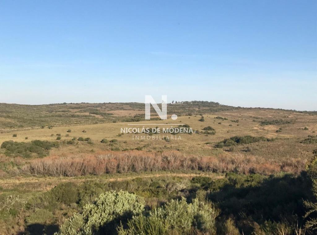Campo ganadero en venta.