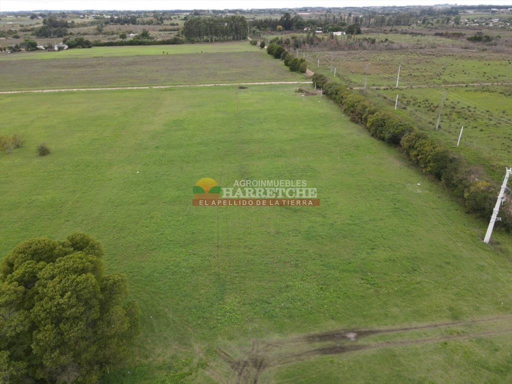 Terreno en Progreso, 360 m2 en Jardín de los (5)