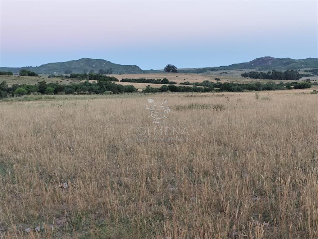 Campo de 30 has en Paso de Dutra