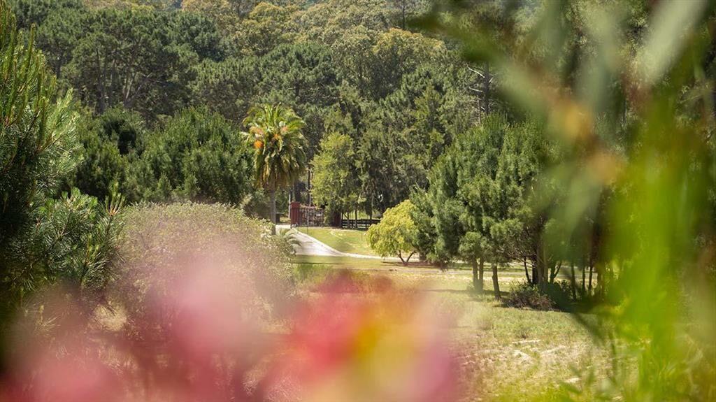 Exclusivo lote en Laguna del Sauce y cerca del mar, junto a