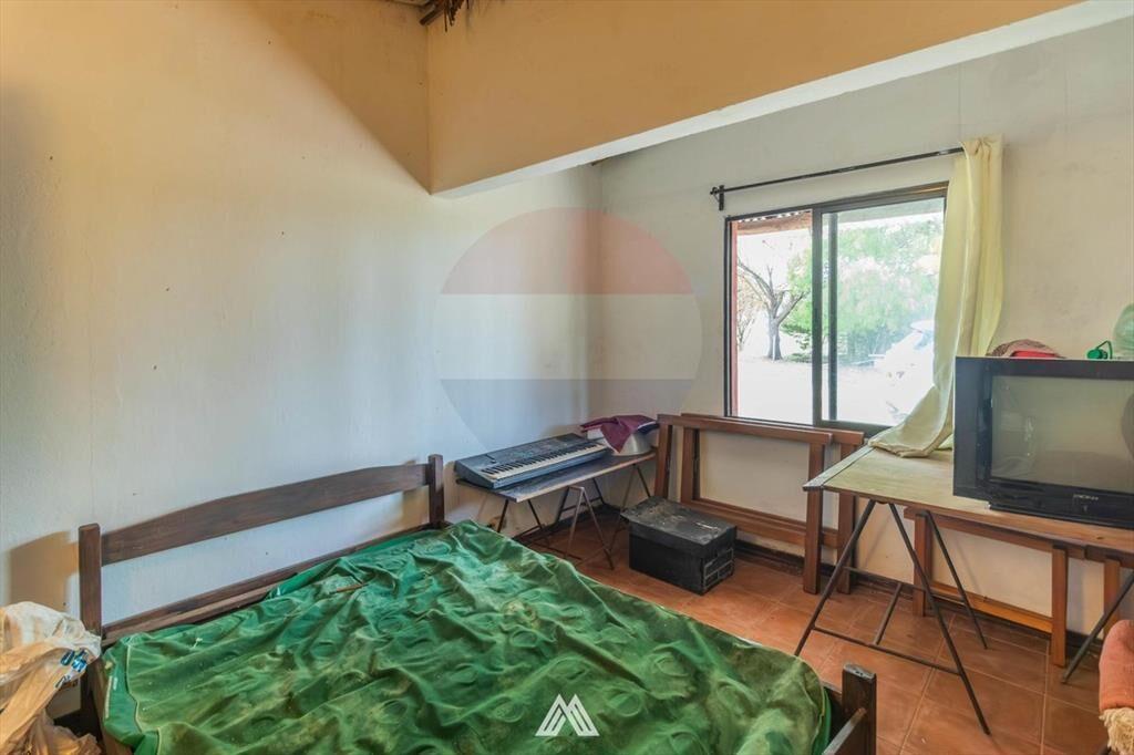 Venta CAMPO 29ha 2 CASAS en Est. Pedrera Ruta 88