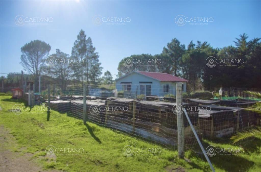 Chacra importante en R. 39 con 700 m2.