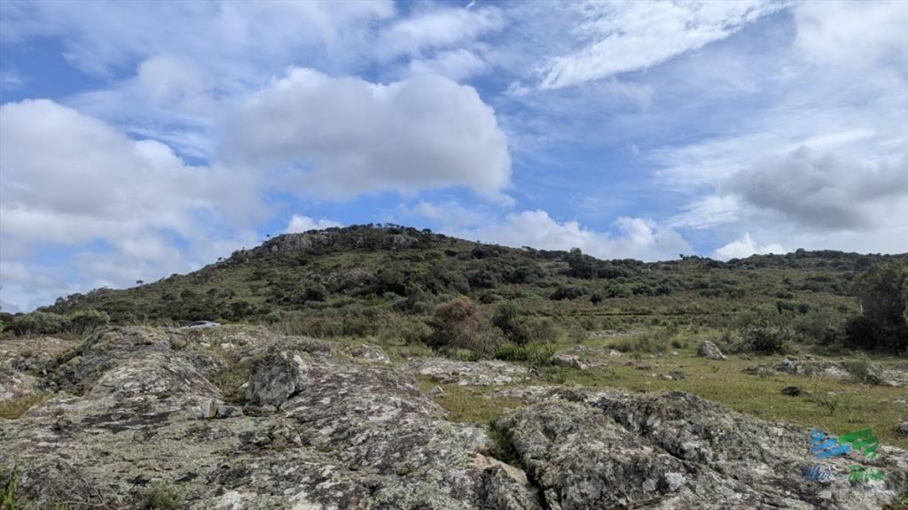 Venta de chacra de 3 has en Sierra de Los