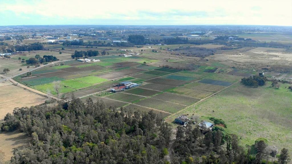 Venta campo de 7 Ha. en Camino Los Horneros
