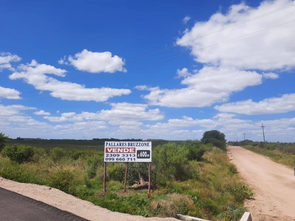 Buen predio rural, 24 héctareas a 600 m Ruta 5, KM 50.