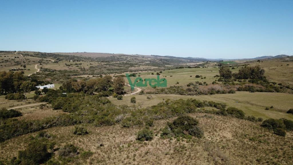 Campo de 86 has a la altura del km 58 Ruta 39
