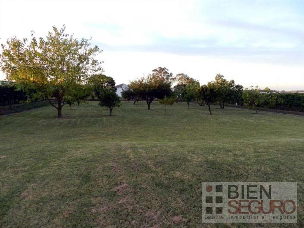 Chacra de 11,7 hás, con bodega y viñedos, en venta próximo